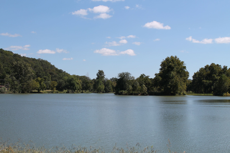 real estate conditions near loch lomond in bella vista ar